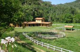 Fazenda Haras Arabic - Foto 1