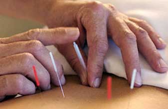 Maria F G Martins - Foto 1