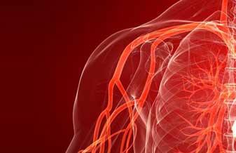 Onofre San José Barros - Foto 1