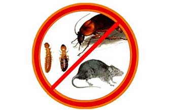 Tecnomad Controle de Vetores e Pragas - Foto 1