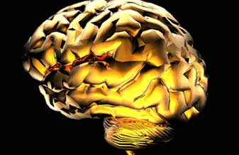 Clínica de Eletroneuromiografia - Foto 1