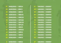 Carnaval São Paulo 2026