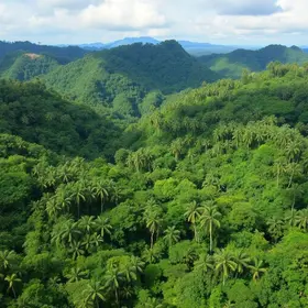 Encantos Amazônicos