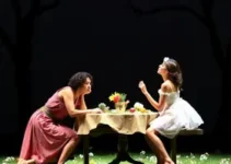 Sonho de uma Noite de Verão