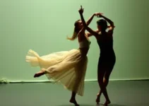 Habitat de Dança